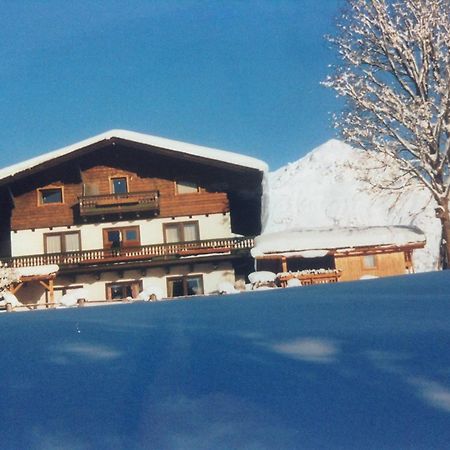 Haus Elsa Apartment รัมเซา อัม ดาคชไตน์ ภายนอก รูปภาพ
