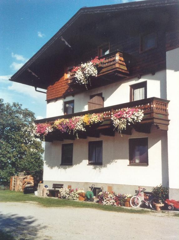 Haus Elsa Apartment รัมเซา อัม ดาคชไตน์ ภายนอก รูปภาพ